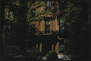 Building covered in ivy, Beacon Hill, Boston