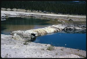 Springs in front of forest, Yellowstone National Park