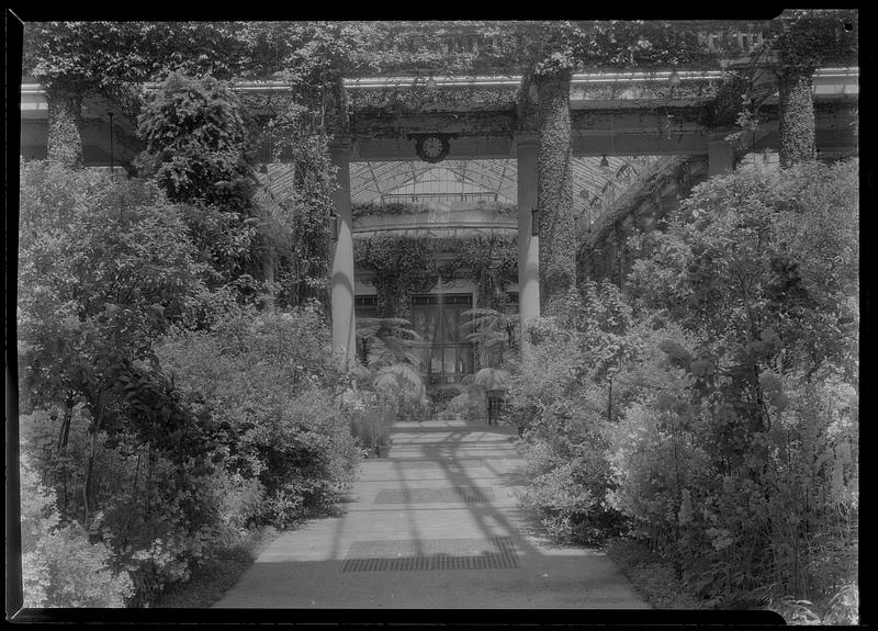 Conservatory of Pierre S. du Pont. Interior of main building from west entrance