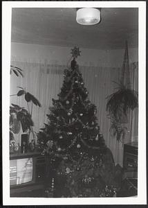 Christmas tree