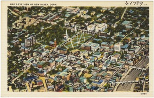 Bird's-eye view of New Haven, Conn.
