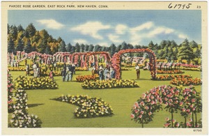 Pardee Rose Garden, East Rock Park, New Haven, Conn.
