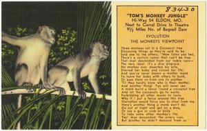 Tom's Monkey Jungle, Hi-Way 54 Eldon, Mo. Next to Corral Drive In Theatre 9 1/2 miles No. of Bagnell Dam