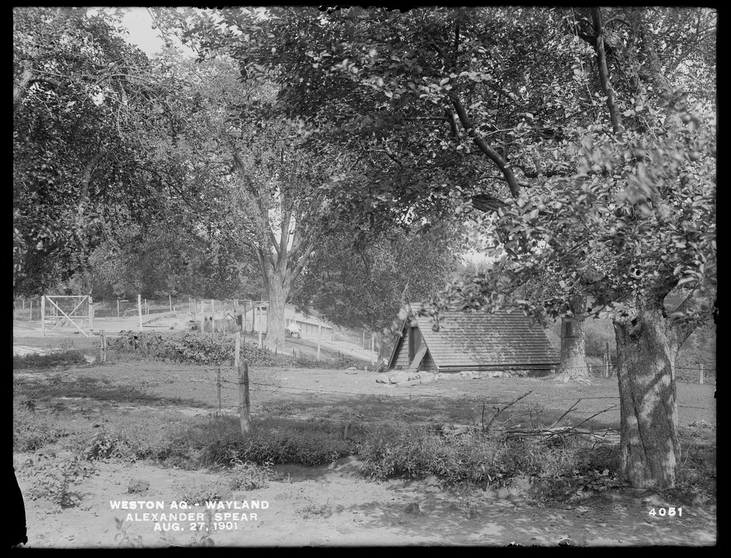 Weston Aqueduct, Alexander Spear's hen-yard, looking easterly, Wayland, Mass., Aug. 27, 1901