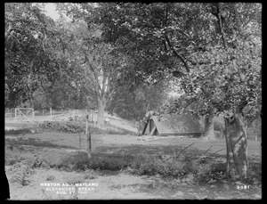 Weston Aqueduct, Alexander Spear's hen-yard, looking easterly, Wayland, Mass., Aug. 27, 1901