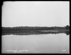Sudbury Department, improvement of Lake Cochituate, Pegan Meadow looking west, Natick, Mass., Sep. 12, 1901