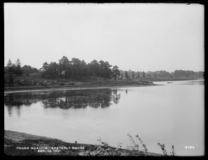 Sudbury Department, improvement of Lake Cochituate, easterly shore of Pegan Meadow, Natick, Mass., Sep. 12, 1901
