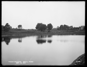 Sudbury Department, improvement of Lake Cochituate, Pegan Meadow, small pond, Natick, Mass., Sep. 12, 1901