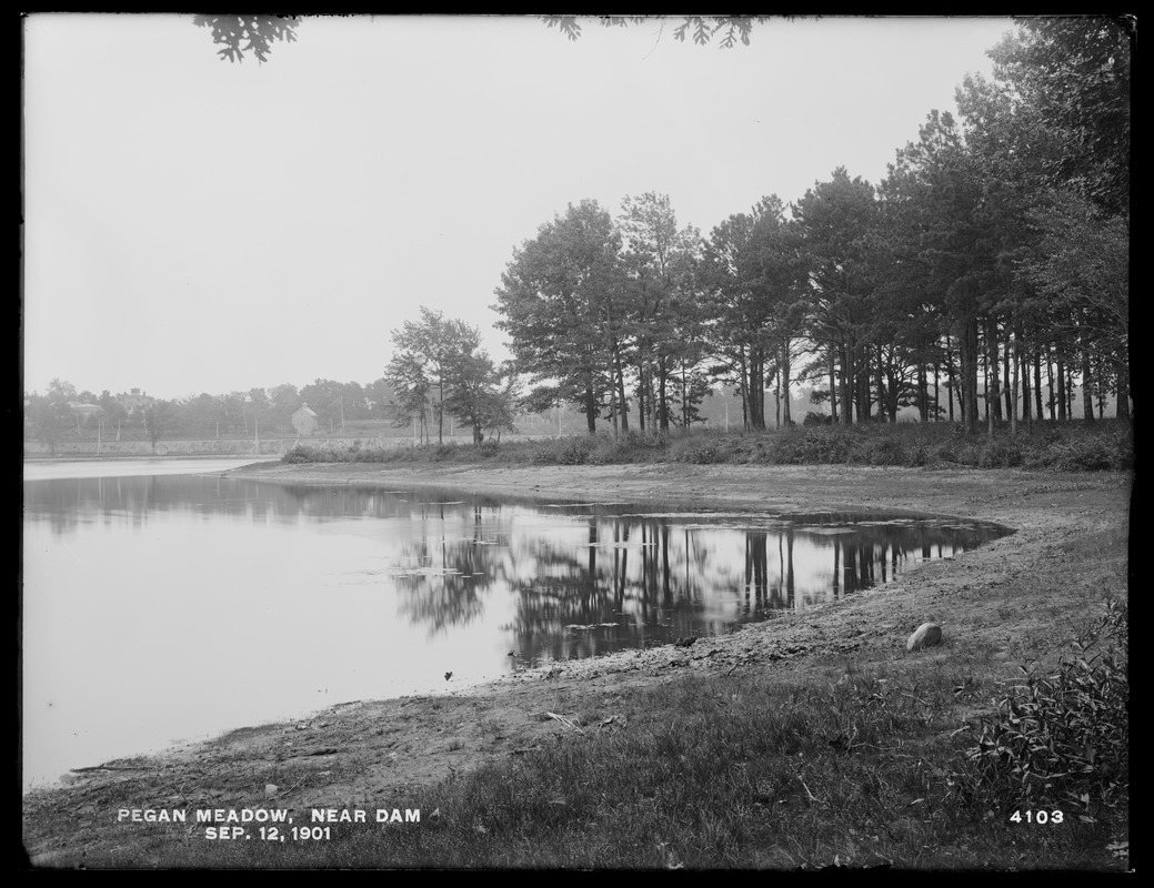 Sudbury Department, improvement of Lake Cochituate, Pegan Meadow near dam, Natick, Mass., Sep. 12, 1901