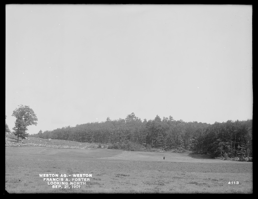 Weston Aqueduct, Francis A. Foster's land, looking northerly (site of embankment), Weston, Mass., Sep. 21, 1901