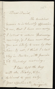 Letter from Lydia Maria Child to David Lee Child, [1853]