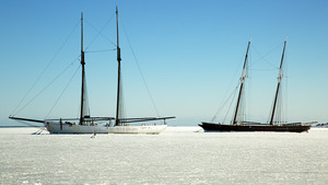 Vineyard Haven Harbor - Alabama & Shenandoah