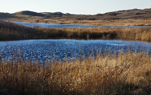 Red Gate Farm - Lily Pond - Moshup Pond