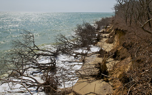 Wasque - Eroded Oaks - Erosion