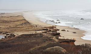 Lucy Vincent Beach