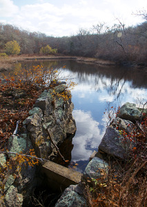 Ganz - Holly Holm - Paint Mill Pond - Trout Pond