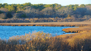 Wasque - Pond near Katama Bay