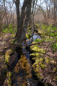 Tiasquam River