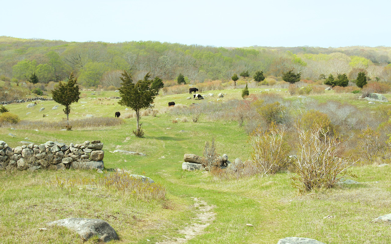 Naushon island Digital Commonwealth