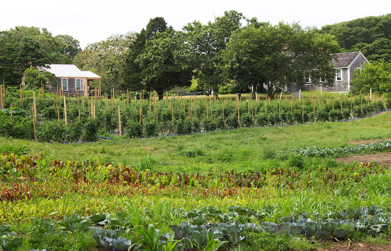 Slip Away Farm House & Stand Digital Commonwealth