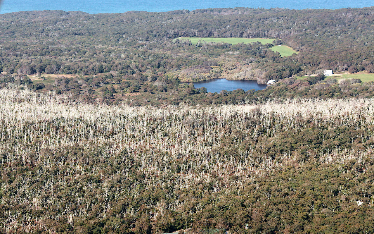 Aerial - Woods Reserve looking to Seven Gates