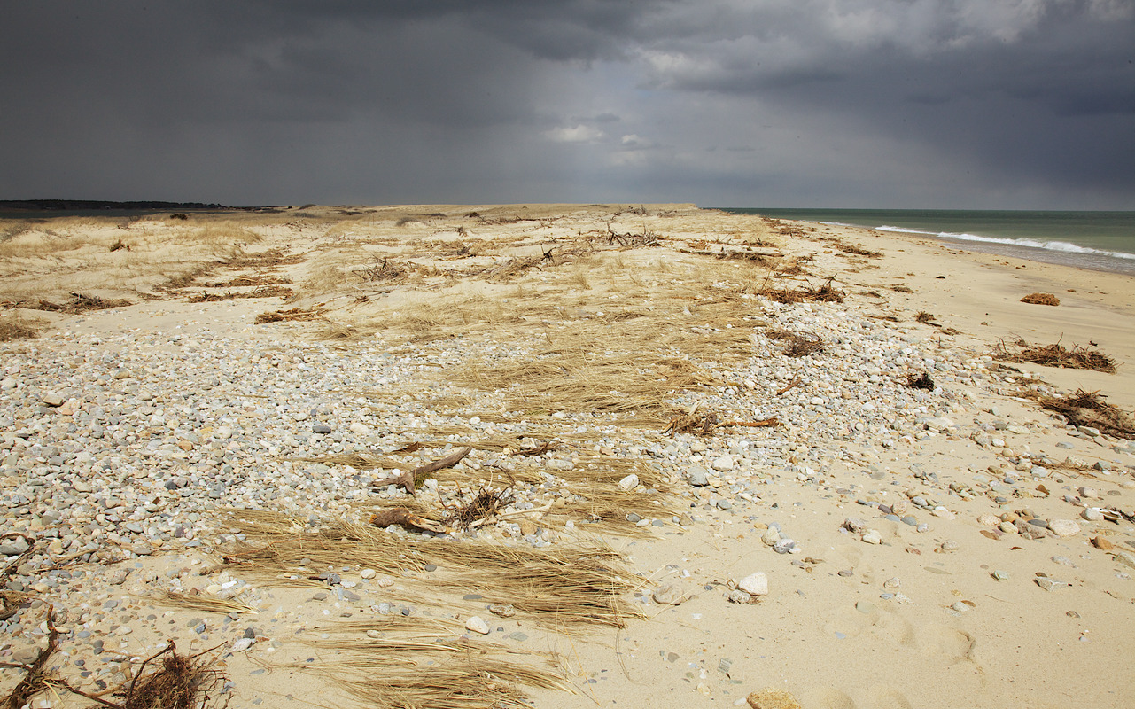 Wasque - Poucha Pond Beach at Schifter