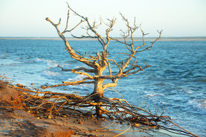 Wasque - In front of TTOR Beach