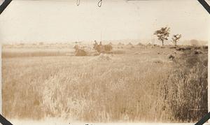 Marines cutting wheat, U.S. Marine Corps encampment, Gettysburg, PA
