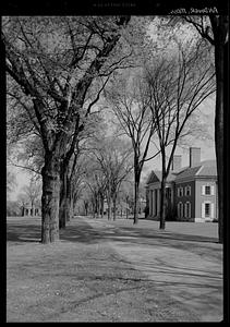 Andover, Phillips Academy, spring