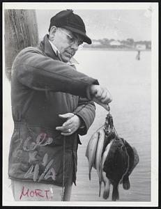 Dirk Beckman Weymouth - with his haul -