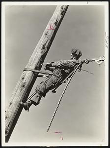 Don't Worry- He's not falling. The lineman, held tightly to the leaning pole by his leather safety belt, is fastening a heavy wire stand, and is unworried as he works, high above the ground.