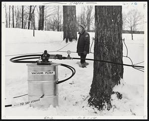 Pumps draws sap from trees.