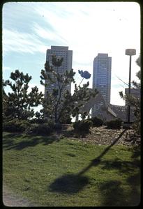 Trees in foreground, Harbor Towers in background