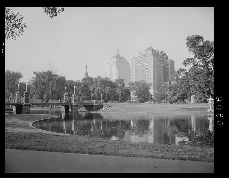 Pond in Public Garden