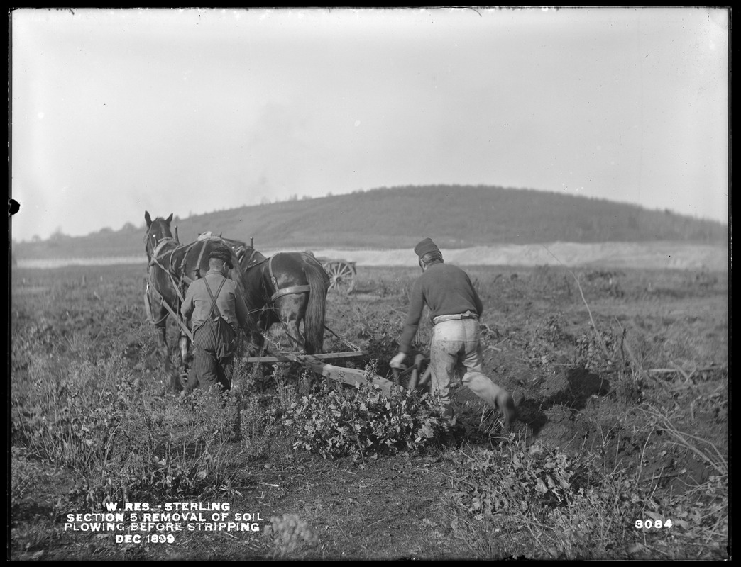 Wachusett Reservoir, removal of soil, Section 5, plowing before stripping, Sterling, Mass., Dec. 1899