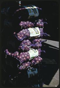 Onions