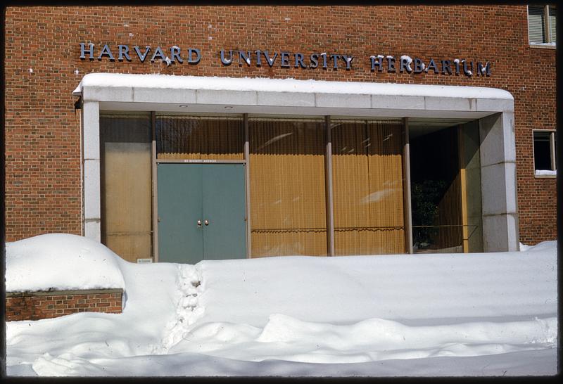 Harvard University Herbarium, Cambridge, Massachusetts