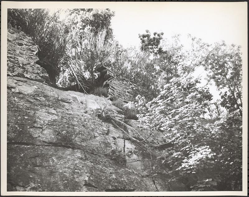 24 Grampian Way Digital Commonwealth