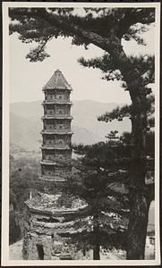 Pagoda and old tree