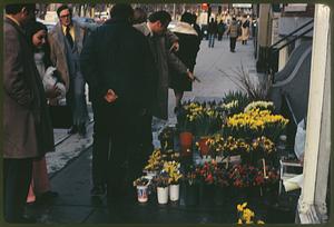 Flowers for sale - Boylston St. opposite Public Garden