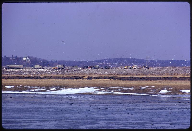 Saugus Dump Central section