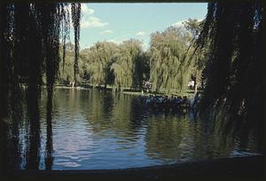 Swan Boat, Public Garden, Boston