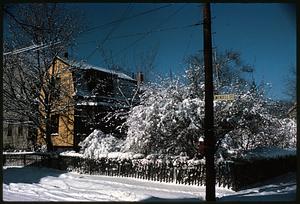 View from road of fence, snow-covered trees, and yellow house