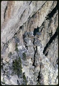 View of rock face with trees, Yellowstone National Park