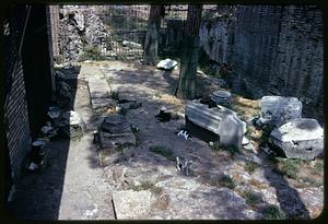Cats among architectural ruins, Rome, Italy
