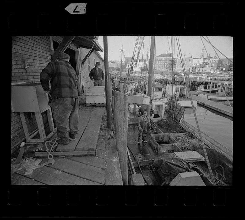 Fishing boats and fishermen, Gloucester