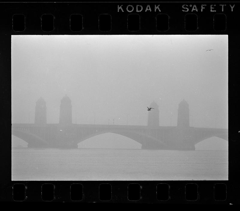 A seagull flies in mist over the Longfellow Bridge, Boston