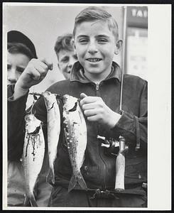 Herring Catch-The herring run in the Mystic river brought hundreds of children out with rod and reel. At left, Gerald Cullen of Medford shows his catch at Medford square. At right, Stanley Simeune, David Lafreniere, both of Medford, and Teddy Carriere of Somerville.