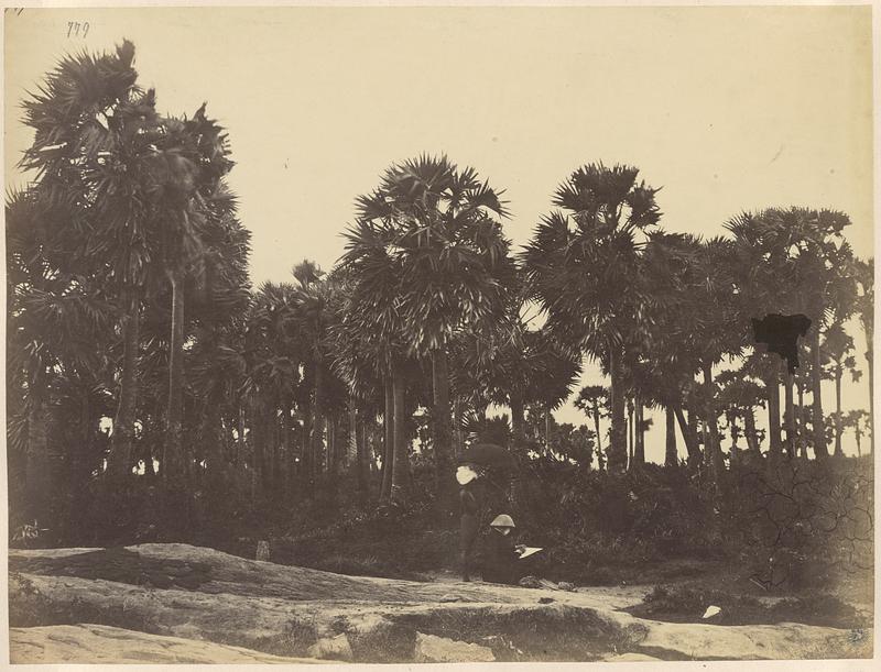 Man sketching while another man holds an umbrella over him near stand of palm trees, India