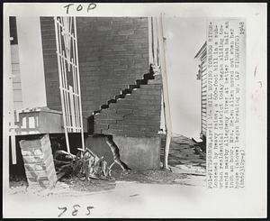Hill Moving Towards River- Loosened by heavy rains, a 600-foot hill in a suburban residential district today began sliding towards nearby Allegheny River at better than half an inch an hour. Mrs. Helen Allen moved out when her house (above) began breaking up.